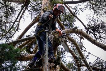 Fotogalería XXVII Fiesta de los Gabarreros en El Espinar 21 Fiesta Gabarreros 2026 - Héctor Criado