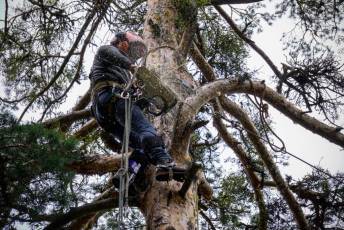 Fotogalería XXVII Fiesta de los Gabarreros en El Espinar 22 Fiesta Gabarreros 2026 - Héctor Criado
