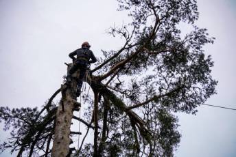 Fotogalería XXVII Fiesta de los Gabarreros en El Espinar 23 Fiesta Gabarreros 2026 - Héctor Criado