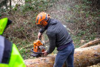 Fotogalería XXVII Fiesta de los Gabarreros en El Espinar 25 Fiesta Gabarreros 2026 - Héctor Criado