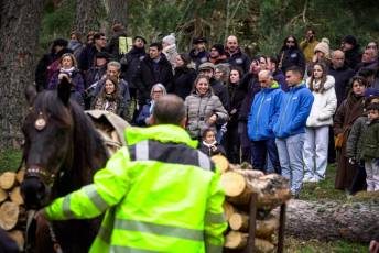Fotogalería XXVII Fiesta de los Gabarreros en El Espinar 29 Fiesta Gabarreros 2026 - Héctor Criado
