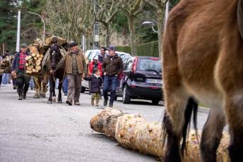 Fotogalería XXVII Fiesta de los Gabarreros en El Espinar 35 Fiesta Gabarreros 2026 - Héctor Criado