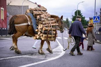 Fotogalería XXVII Fiesta de los Gabarreros en El Espinar 38 Fiesta Gabarreros 2026 - Héctor Criado