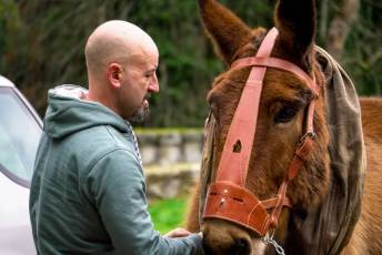 Fotogalería XXVII Fiesta de los Gabarreros en El Espinar 6 Fiesta Gabarreros 2026 - Héctor Criado