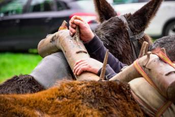 Fotogalería XXVII Fiesta de los Gabarreros en El Espinar 9 Fiesta Gabarreros 2026 - Héctor Criado