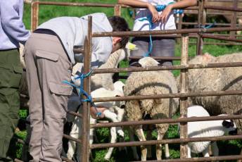 Fotogalería Jornada por el Día de las Vías Pecuarias y Caminos Públicos 11 Jornada Día de las Vías Pecuarias y Caminos Públicos - Héctor Criado