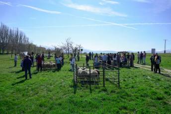 Fotogalería Jornada por el Día de las Vías Pecuarias y Caminos Públicos 2 Jornada Día de las Vías Pecuarias y Caminos Públicos - Héctor Criado