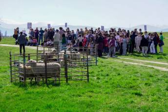 Fotogalería Jornada por el Día de las Vías Pecuarias y Caminos Públicos 16 Jornada Día de las Vías Pecuarias y Caminos Públicos - Héctor Criado