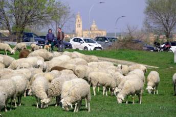 Fotogalería Jornada por el Día de las Vías Pecuarias y Caminos Públicos 21 Jornada Día de las Vías Pecuarias y Caminos Públicos - Héctor Criado