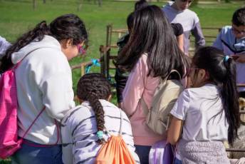 Fotogalería Jornada por el Día de las Vías Pecuarias y Caminos Públicos 28 Jornada Día de las Vías Pecuarias y Caminos Públicos - Héctor Criado