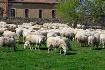 Fotogalería Jornada por el Día de las Vías Pecuarias y Caminos Públicos 10 Jornada Día de las Vías Pecuarias y Caminos Públicos - Héctor Criado