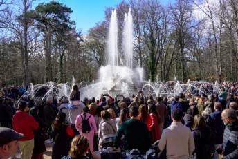 Fotogalería Primer Espectáculo de Encendido de las Fuentes de La Granja 22 Primer Espectáculo de Encendido Fuentes de La Granja - Héctor Criado