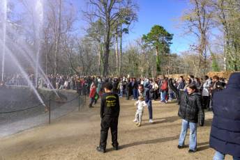 Fotogalería Primer Espectáculo de Encendido de las Fuentes de La Granja 27 Primer Espectáculo de Encendido Fuentes de La Granja - Héctor Criado
