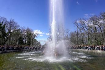 Fotogalería Primer Espectáculo de Encendido de las Fuentes de La Granja 7 Primer Espectáculo de Encendido Fuentes de La Granja - Héctor Criado