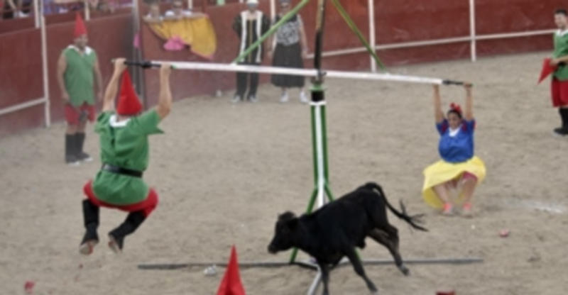 Instante de la becerrada de peñas. / Juan Martín