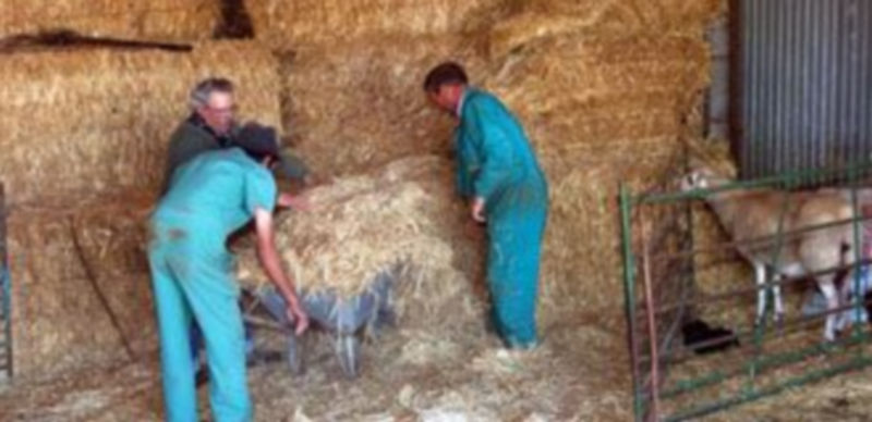 / Guillermo Herrero.