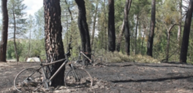 Estado en que quedó una bicicleta y el entorno del pinar de Cuéllar
