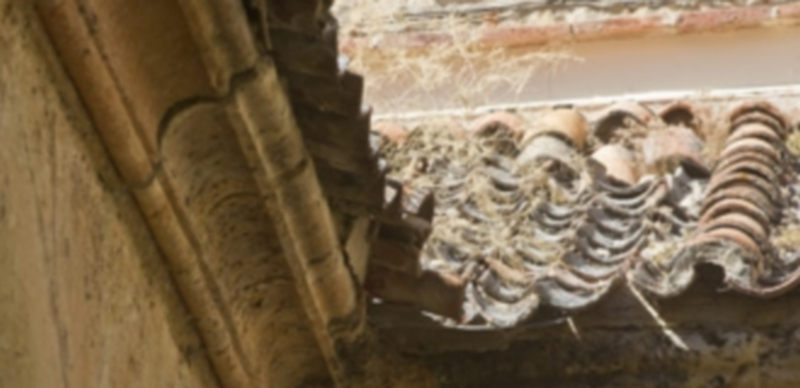 Las imágenes muestran el estado actual de las cubiertas