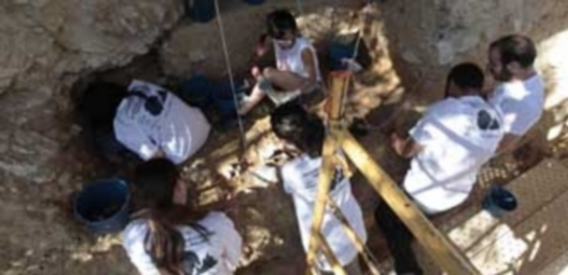 Un grupo de arqueólogos