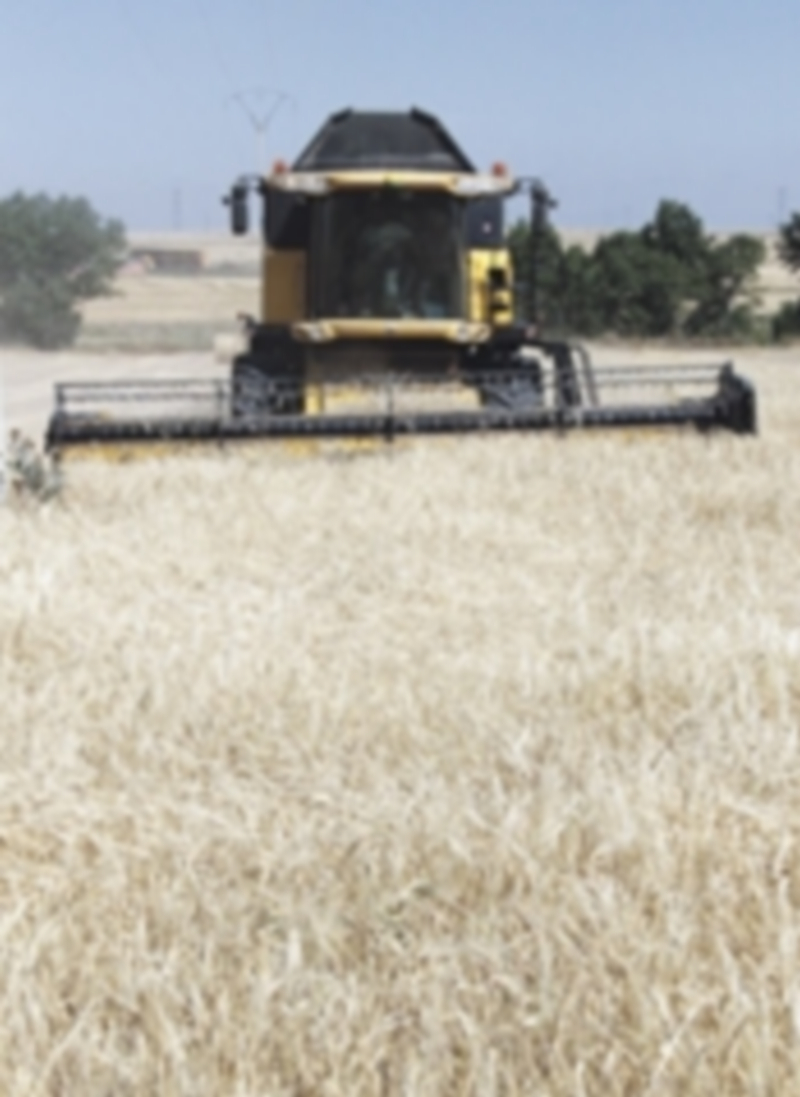 Una máquina cosechadora