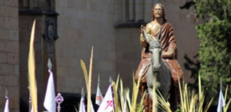 El paso “Jesús entrando en Jerusalén” de José María García Moro parece caminar entre las palmas a su salida de la Catedral./ m.g.