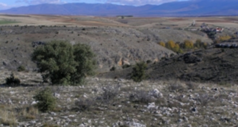 Zona alta de los terrenos que ahora se constituyen en “monte de socios”; al fondo el casco urbano de Castroserna de Abajo
