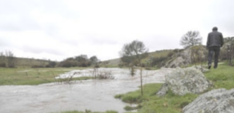 Paisaje del río Ciguiñuela