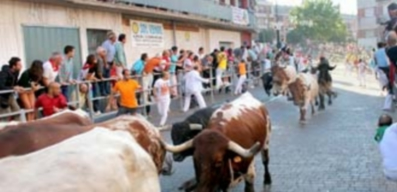 Las reses a su paso por la calle de La Resina