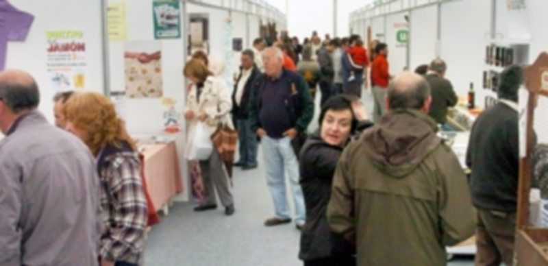 Feria de Campo de San Pedro