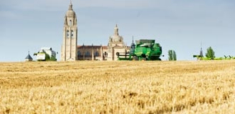 Dos máquinas cosechadoras