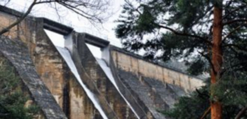 Los redactores del anteproyecto