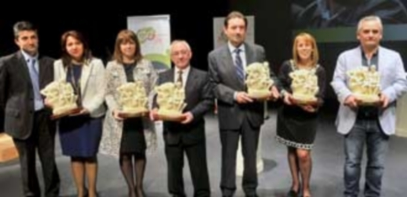 Los seis premiados con sus galardones al término de la gala celebrada en el Teatro Juan Bravo de Segovia. / Kamarero