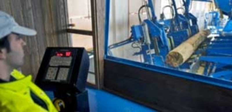 El Aserradero de Valsaín volverá a trabajar en la elaboración de tablones con la madera de pino de Valsaín