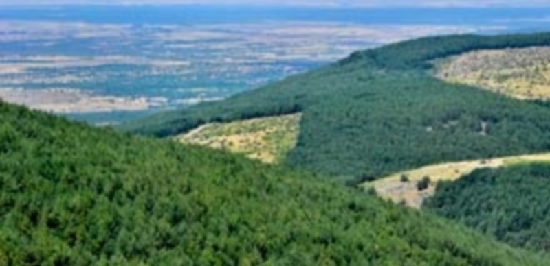 El Parque Nacional de la Sierra de Guadarrama se extiende por 33.960 hectáreas