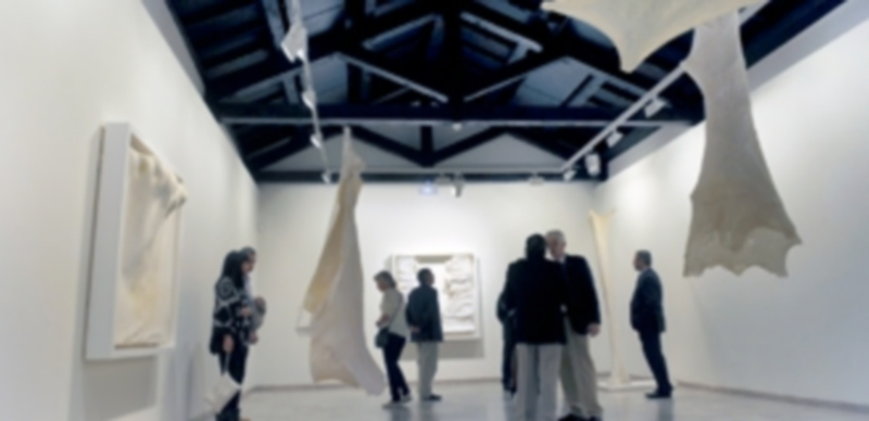 Un grupo de visitantes en las salas del Museo de Arte Contemporáneo Esteban Vicente en la inauguración de la exposición ‘Vida secreta del aire’. / KAMARERO