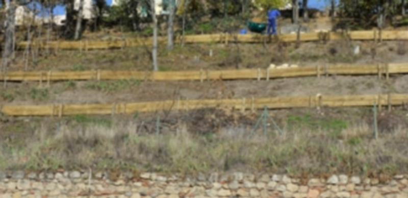 Fuente situada en la confluencia del Paseo de Los Tilos con la calle de San Millán. Arriba