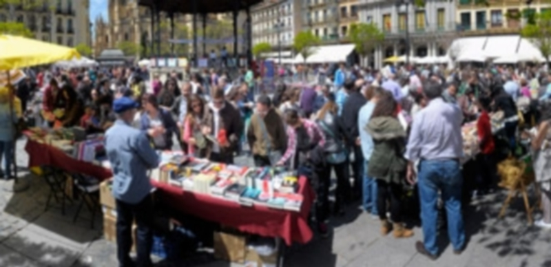 Cientos de segovianos participaron ayer en los actos del 23 de abril. / KAMARERO