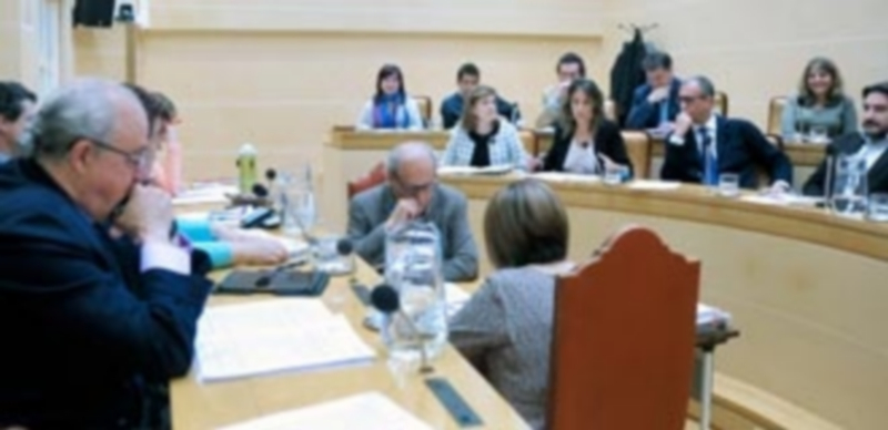 Los veinticinco concejales que componen la corporación municipal