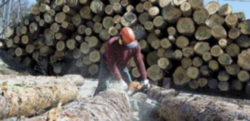 El Aserradero de Valsaín