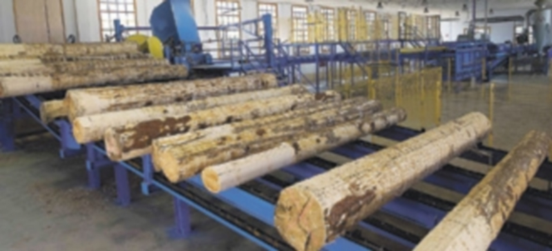 El Real Aserrío de Valsaín sufrió un incendio en el año 2005