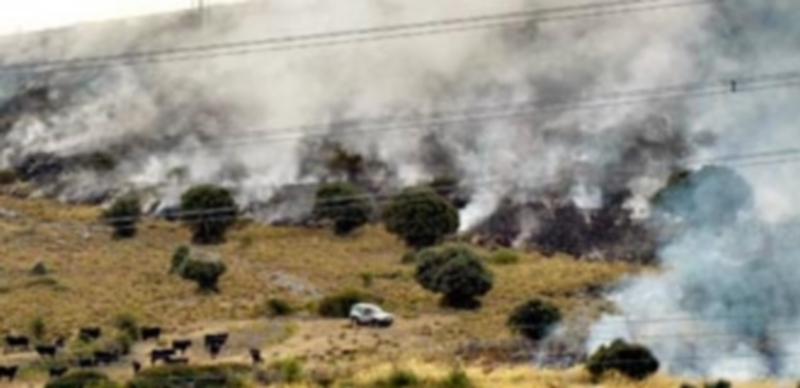 Los montes de El Espinar fueron uno de los pocos escenarios a los que llegó el fuego en la provincia de Segovia. / pedro l. merino
