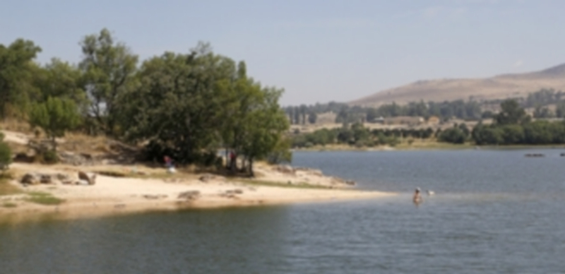 Verano en el Pontón 1 El entorno del embalse del Pontón Alto es idóneo para pasar una jornada veraniega