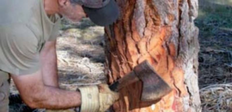 Un operario segoviano