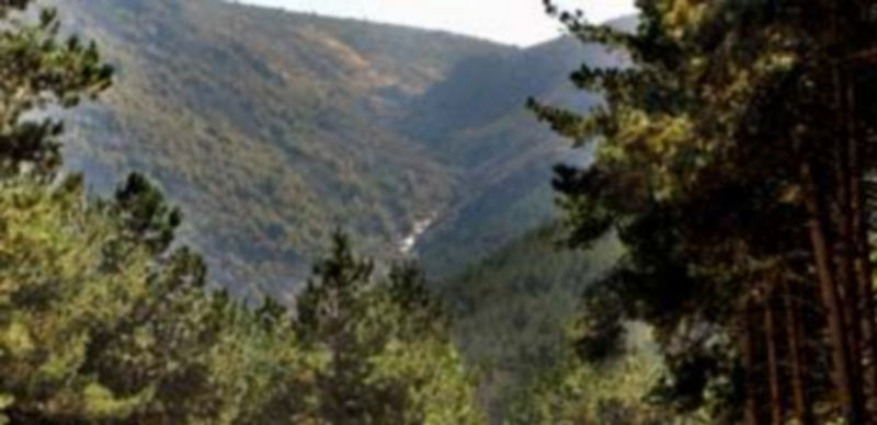 Vista de terrenos que forman parte del parque natural Sierra de Guadarrama