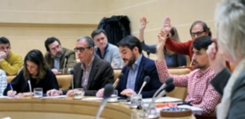 UPyD y Grupo Socialista votaron a favor del acuerdo alcanzado con los propietarios del terreno. / Kamarero