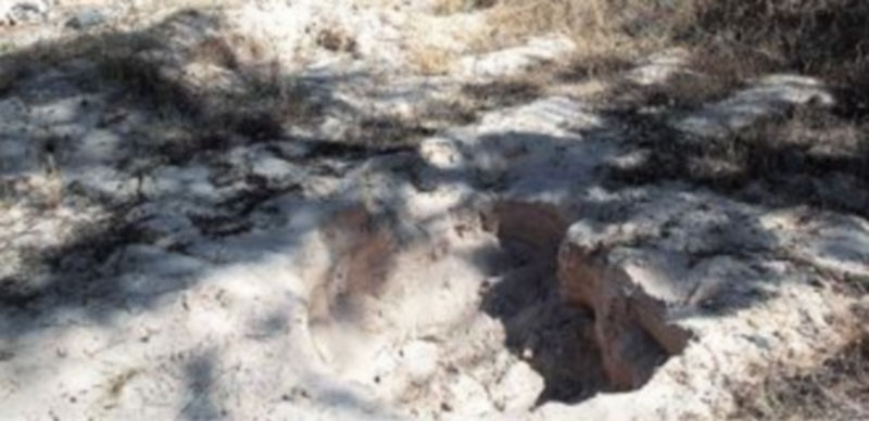 El lugar donde se encontró el cadáver del pastor fue una zona arenosa situada entre pinares