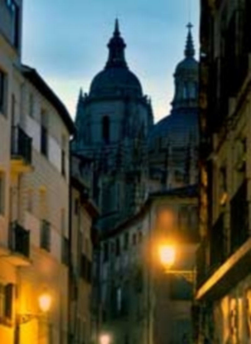 La Catedral en la edición 2013 de La Hora del Planeta. / Kamarero