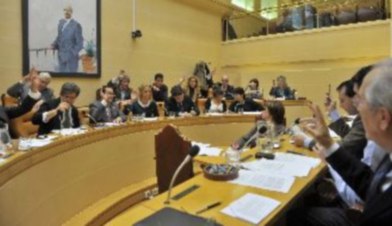 La corporación deberá reunirse hoy en pleno para decidir sobre la alegación presentada por Gas Natural. / Kamarero