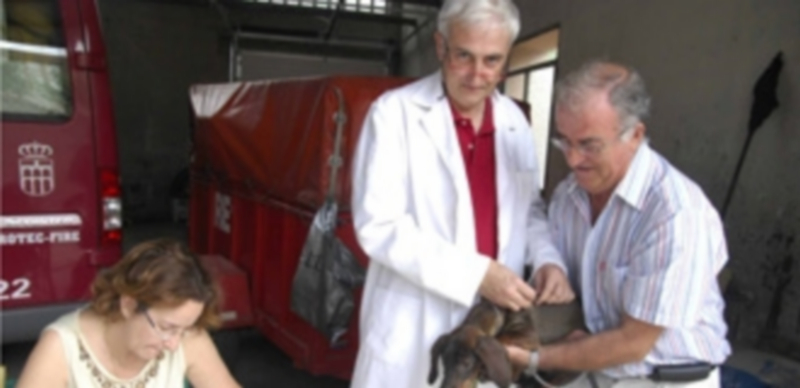 Segovia cuenta con más de 2.000 perros inscritos en el censo 1 La campaña de vacunación antirrábica se realiza todos los miércoles en el Parque de Bomberos. / El Adelantado
