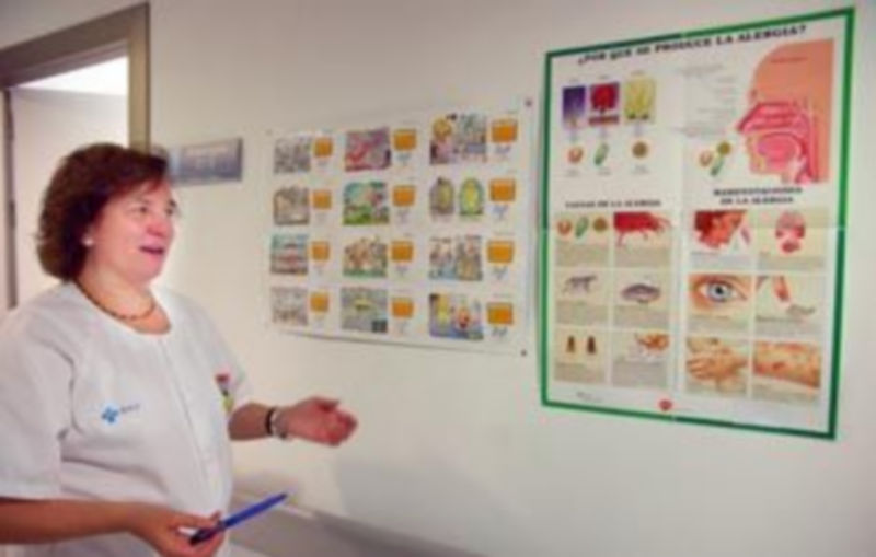 La doctora María Isabel Esteban muestra carteles explicativos sobre porqué y cómo se produce la alergia en distintas épocas del año y zonas geográficas./FERNANDO PEÑALOSA